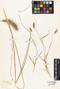 SW_BNB_s3010-04787_IMG-0000000001