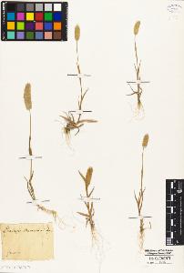 SW_BNB_s3010-04791_IMG-0000000001