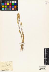 SW_BNB_s3010-04792_IMG-0000000001