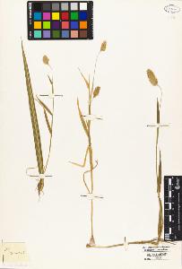 SW_BNB_s3010-04793_IMG-0000000001