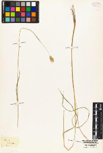 SW_BNB_s3010-04794_IMG-0000000001