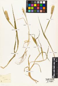 SW_BNB_s3010-04796_IMG-0000000001