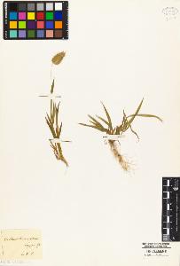 SW_BNB_s3010-04799_IMG-0000000001