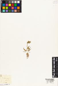 SW_BNB_s3010-04800_IMG-0000000001