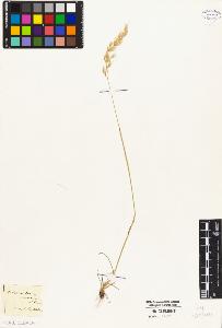 SW_BNB_s3010-04801_IMG-0000000001