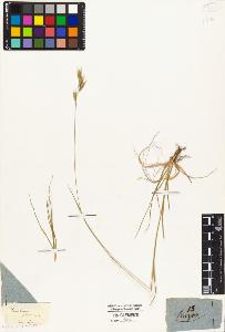 SW_BNB_s3010-04802_IMG-0000000001