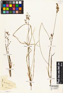 SW_BNB_s3010-04803_IMG-0000000001