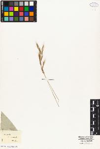 SW_BNB_s3010-04805_IMG-0000000001