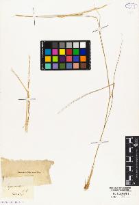SW_BNB_s3010-04808_IMG-0000000001