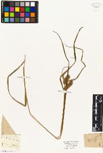 SW_BNB_s3010-04811_IMG-0000000001