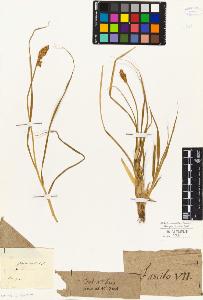 SW_BNB_s3010-04813_IMG-0000000001