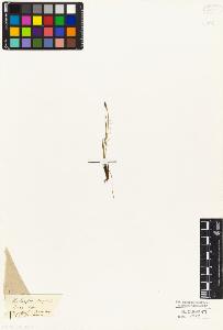 SW_BNB_s3010-04814_IMG-0000000001