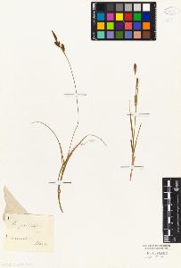 SW_BNB_s3010-04815_IMG-0000000001