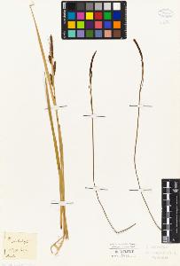 SW_BNB_s3010-04816_IMG-0000000001