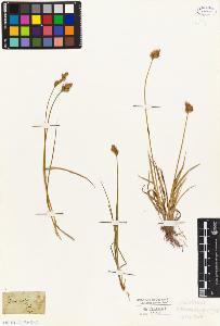 SW_BNB_s3010-04817_IMG-0000000001