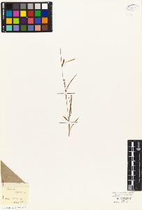 SW_BNB_s3010-04818_IMG-0000000001