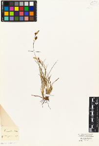 SW_BNB_s3010-04819_IMG-0000000001