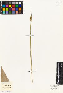 SW_BNB_s3010-04827_IMG-0000000001