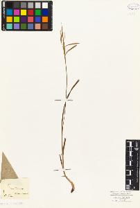 SW_BNB_s3010-04829_IMG-0000000001