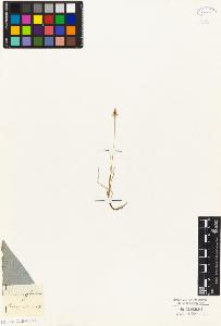 SW_BNB_s3010-04830_IMG-0000000001