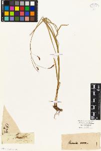 SW_BNB_s3010-04831_IMG-0000000001