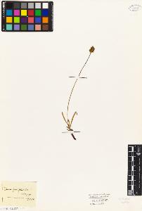 SW_BNB_s3010-04832_IMG-0000000001