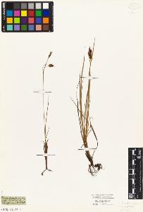 SW_BNB_s3010-04834_IMG-0000000001