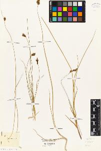SW_BNB_s3010-04836_IMG-0000000001