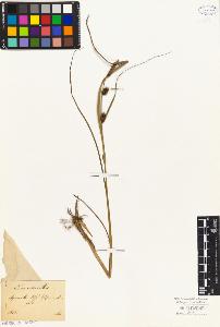 SW_BNB_s3010-04838_IMG-0000000001