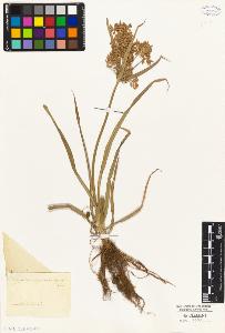 SW_BNB_s3010-04841_IMG-0000000001