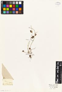 SW_BNB_s3010-04842_IMG-0000000001