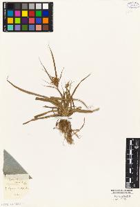 SW_BNB_s3010-04847_IMG-0000000001