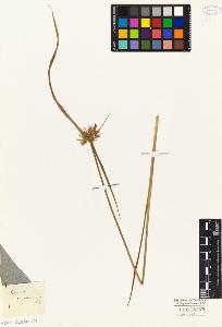SW_BNB_s3010-04849_IMG-0000000001