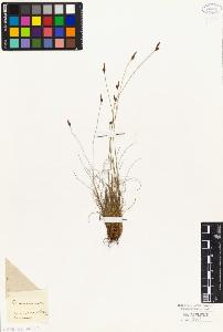 SW_BNB_s3010-04851_IMG-0000000001