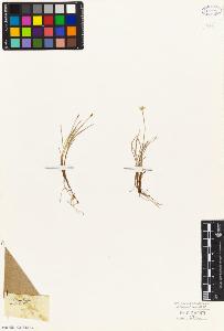 SW_BNB_s3010-04852_IMG-0000000001
