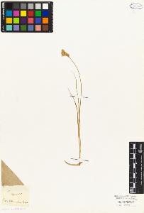 SW_BNB_s3010-04855_IMG-0000000001