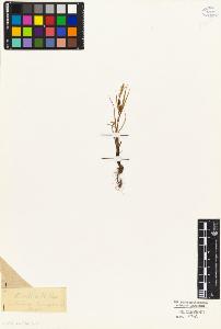 SW_BNB_s3010-04856_IMG-0000000001