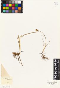 SW_BNB_s3010-04857_IMG-0000000001