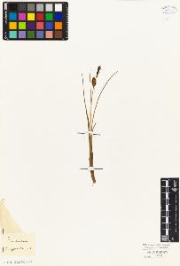 SW_BNB_s3010-04858_IMG-0000000001
