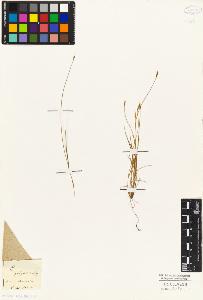 SW_BNB_s3010-04865_IMG-0000000001