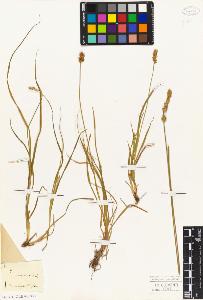 SW_BNB_s3010-04867_IMG-0000000001