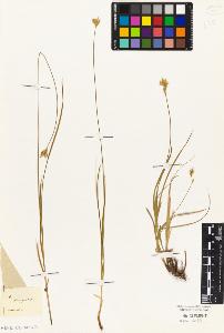 SW_BNB_s3010-04868_IMG-0000000001