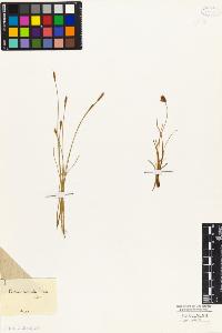 SW_BNB_s3010-04869_IMG-0000000001