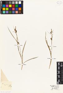 SW_BNB_s3010-04872_IMG-0000000001