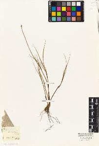 SW_BNB_s3010-04873_IMG-0000000001