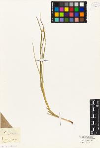 SW_BNB_s3010-04874_IMG-0000000001