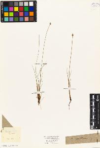 SW_BNB_s3010-04875_IMG-0000000001