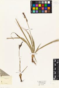 SW_BNB_s3010-04877_IMG-0000000001