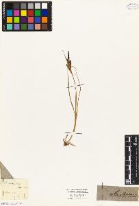 SW_BNB_s3010-04878_IMG-0000000001