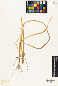 SW_BNB_s3010-04880_IMG-0000000001